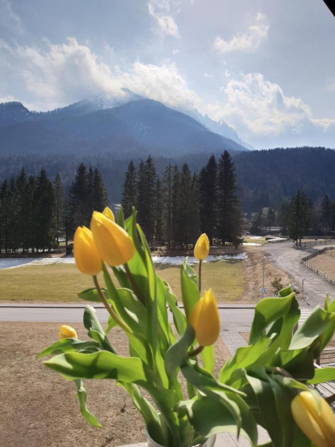 Apartma Kurji Vrh - Chicken Top Kranjska Gora Εξωτερικό φωτογραφία