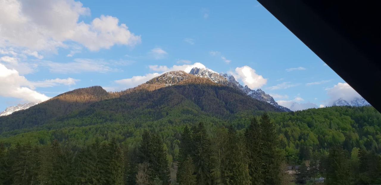 Apartma Kurji Vrh - Chicken Top Kranjska Gora Εξωτερικό φωτογραφία